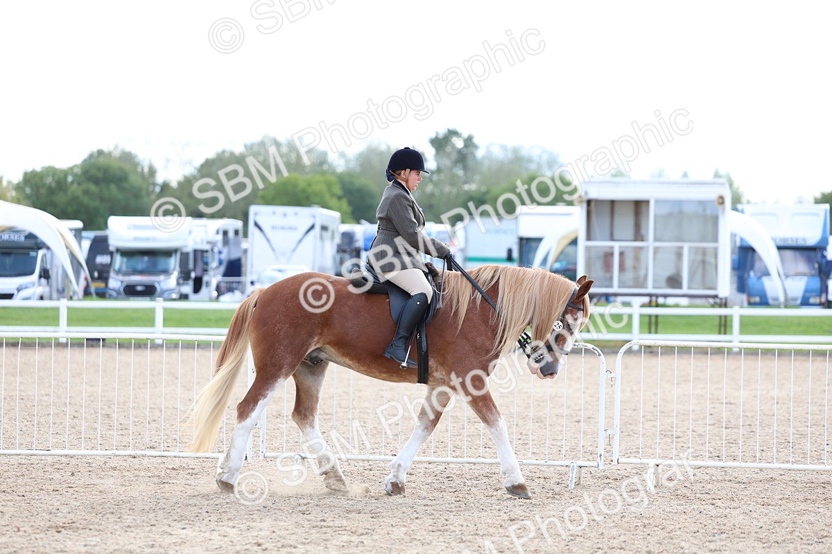 SBM_17092 - Class 315 - Best Horse - Rider Combination