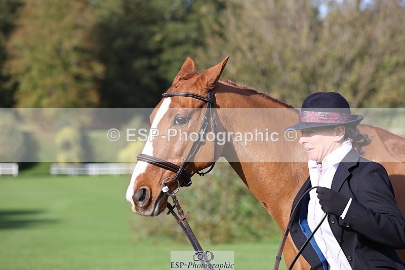 241027-102845-15915 - 502-Alison.Stewart-RICO.III