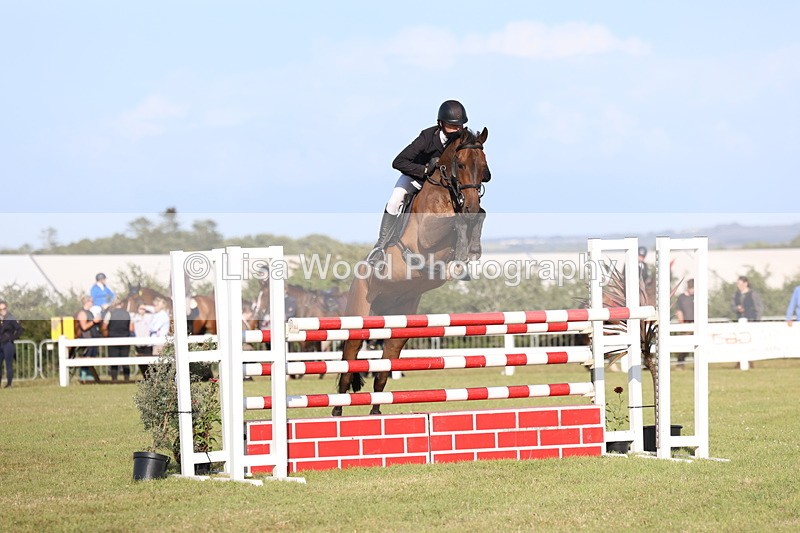 3E7A4503 - Class C: Showjumping Senior Foxhunter