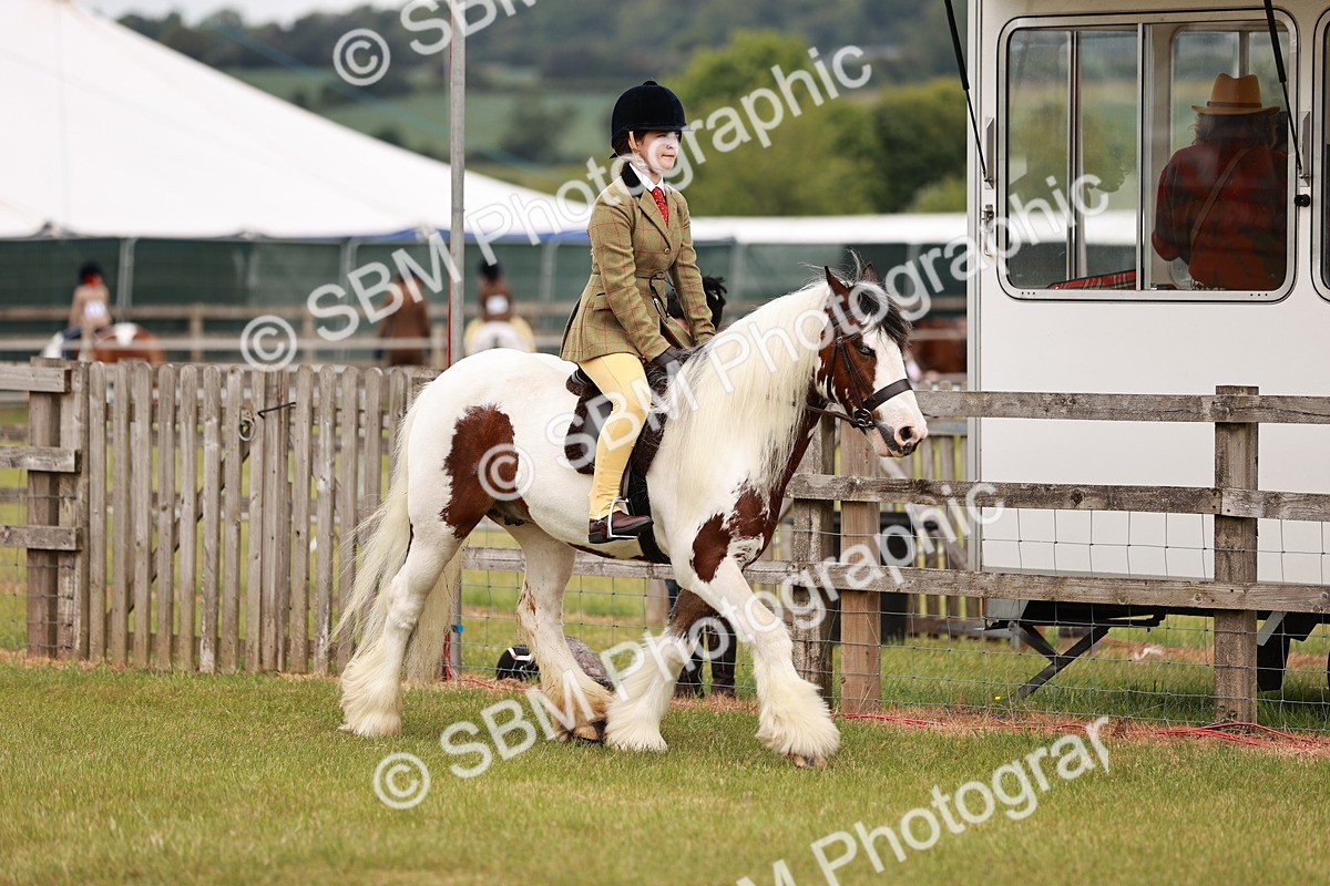 SBM_06111 - Class 39-41 TGCA In Hand and Ridden