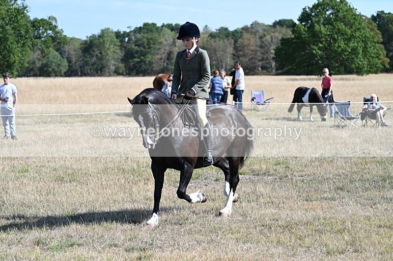 WJ7_3685 - Class 9 Mountain & Moorland Ridden