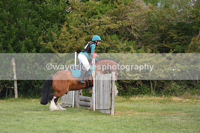 WJ5_2641 - Class 2 40cm