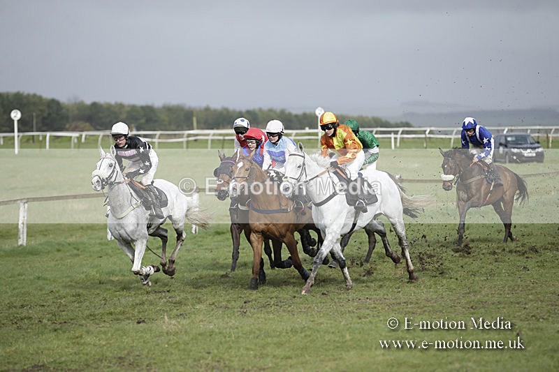 PtP 150320 0381 - New Forest Point-to-Point Larkhill 15/03/20