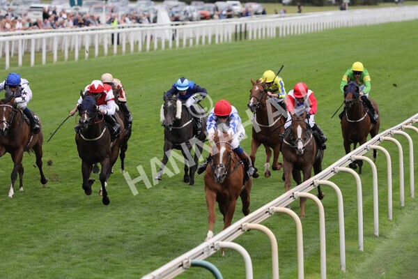 yr17082022r6-14 - Race 6 4.45 pm Celebrate ITM’s 200th IRE Voucher Winner Stakes