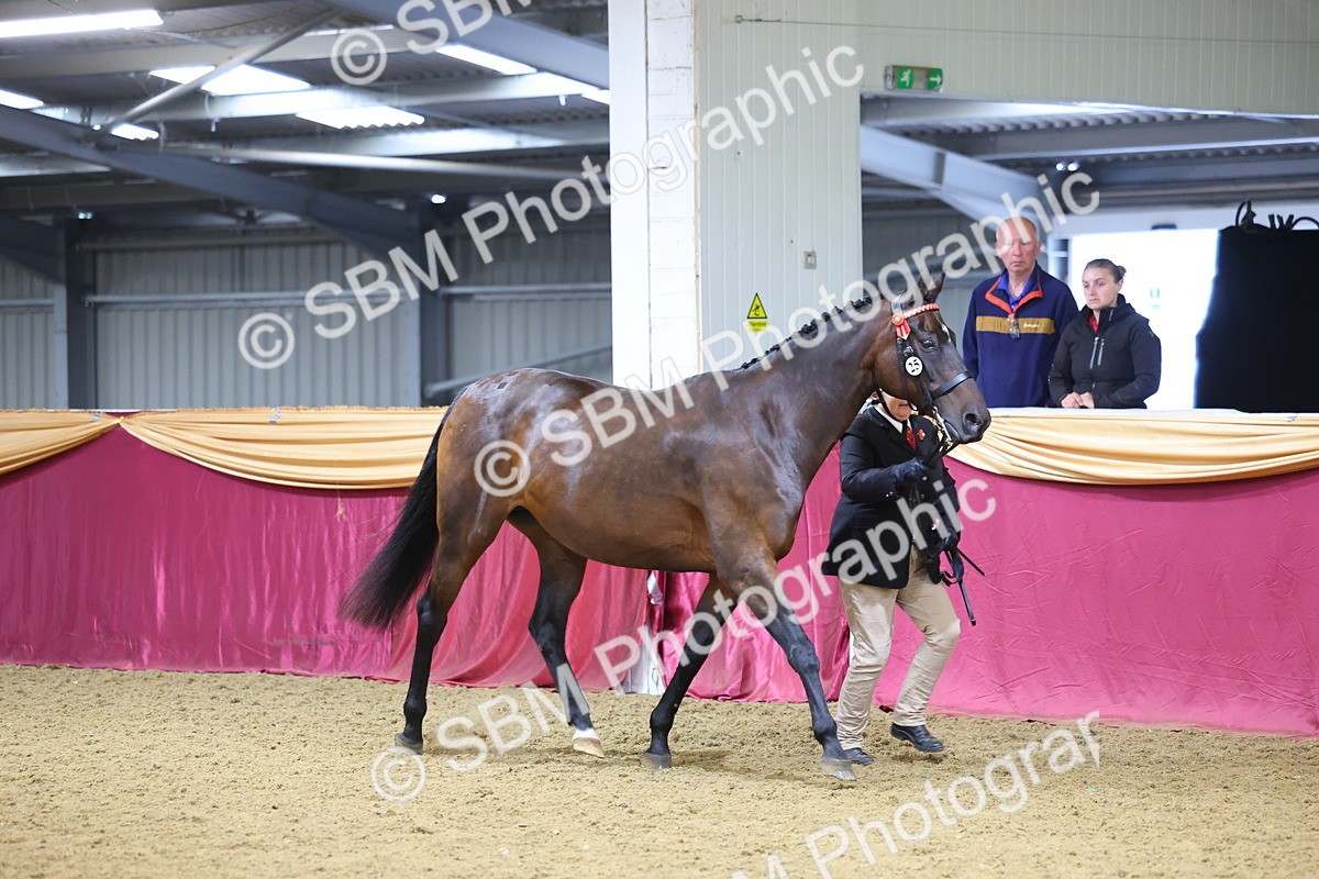 SBM_19403 - Class 901 - Supreme Final - IH Diamond