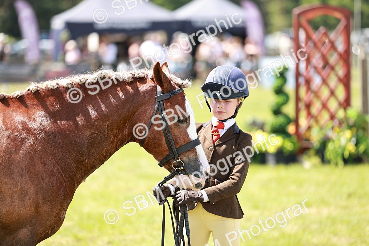 SBM_15614 - Class 108-109 - BSPS LIHS Open Gradle & Nursery Stakes