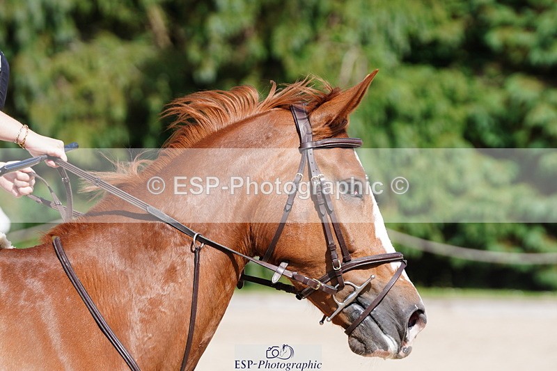 250615A-162438-12002 - Class 49 1m 05 Amateur Qualifier Snr 1m 05