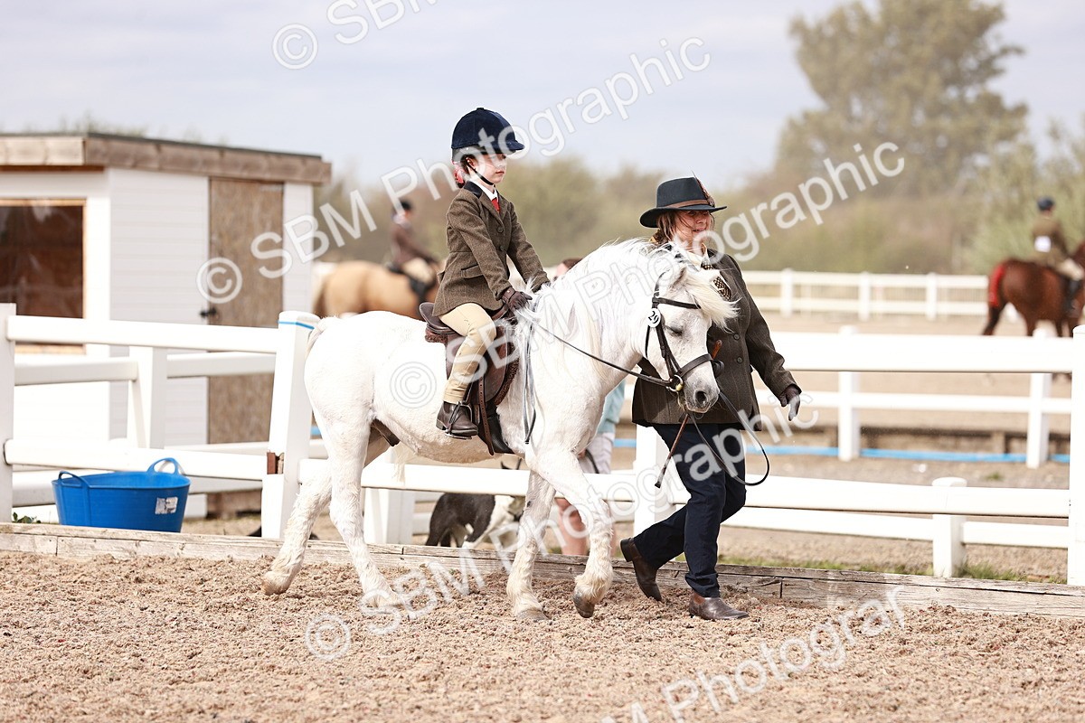 SBM_18291 - Class 417 - Handsome Gelding (IH or Ridden - JNR)