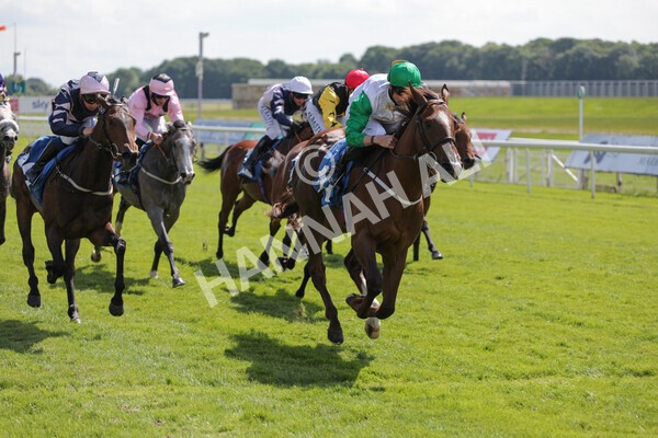 yr11062021r3-27 - Race 3 2.55pm SKF Rous Selling Stakes