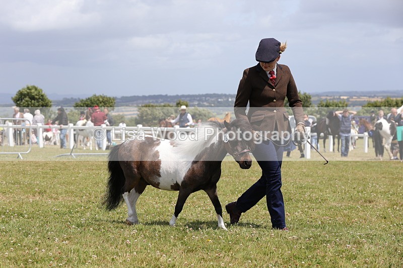1X9A4829 - Class 35: Veteran In Hand