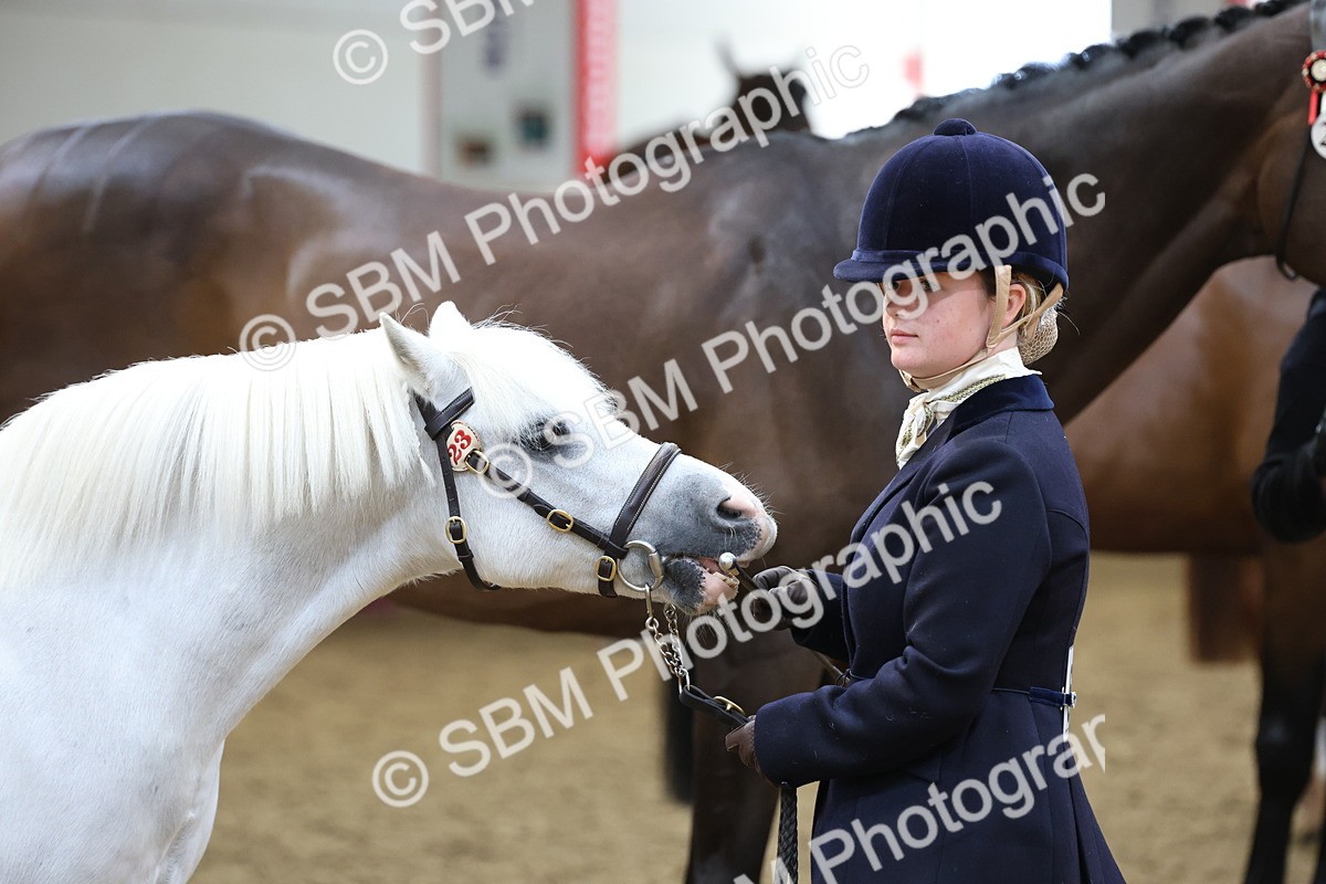 SBM_22501 - Class 902 - Supreme Final - IH Diamond