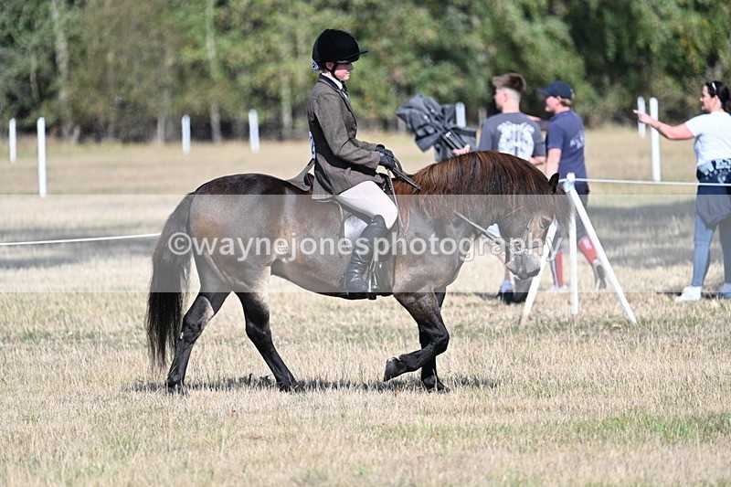 WJ7_3138 - Class 8 Ridden Tack & Turnout