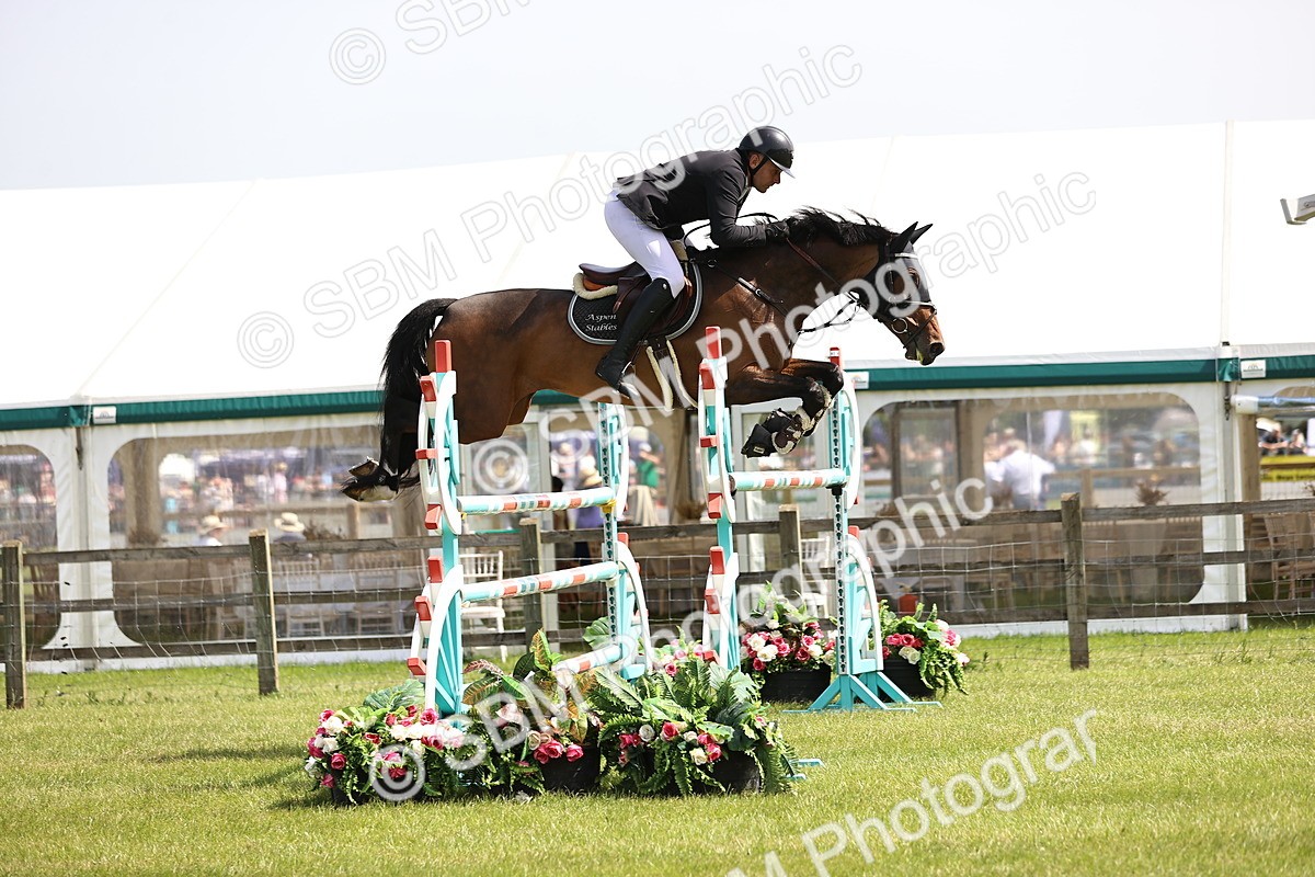 SBM_03270 - Class 201 - British Horse Feedds Speedi Beet HOYS Grade C
