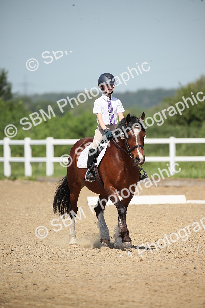 SBM_008787