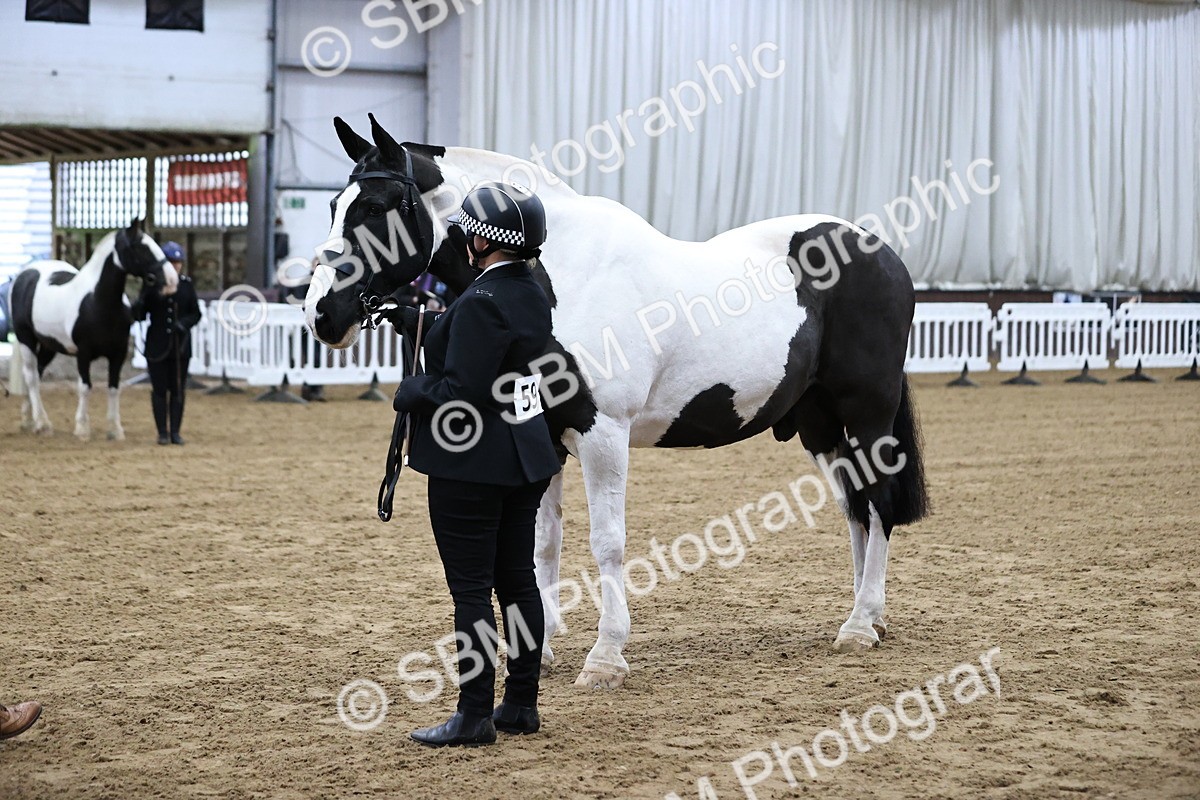 SBM_5274 - Class 32 - In Hand Cob Type