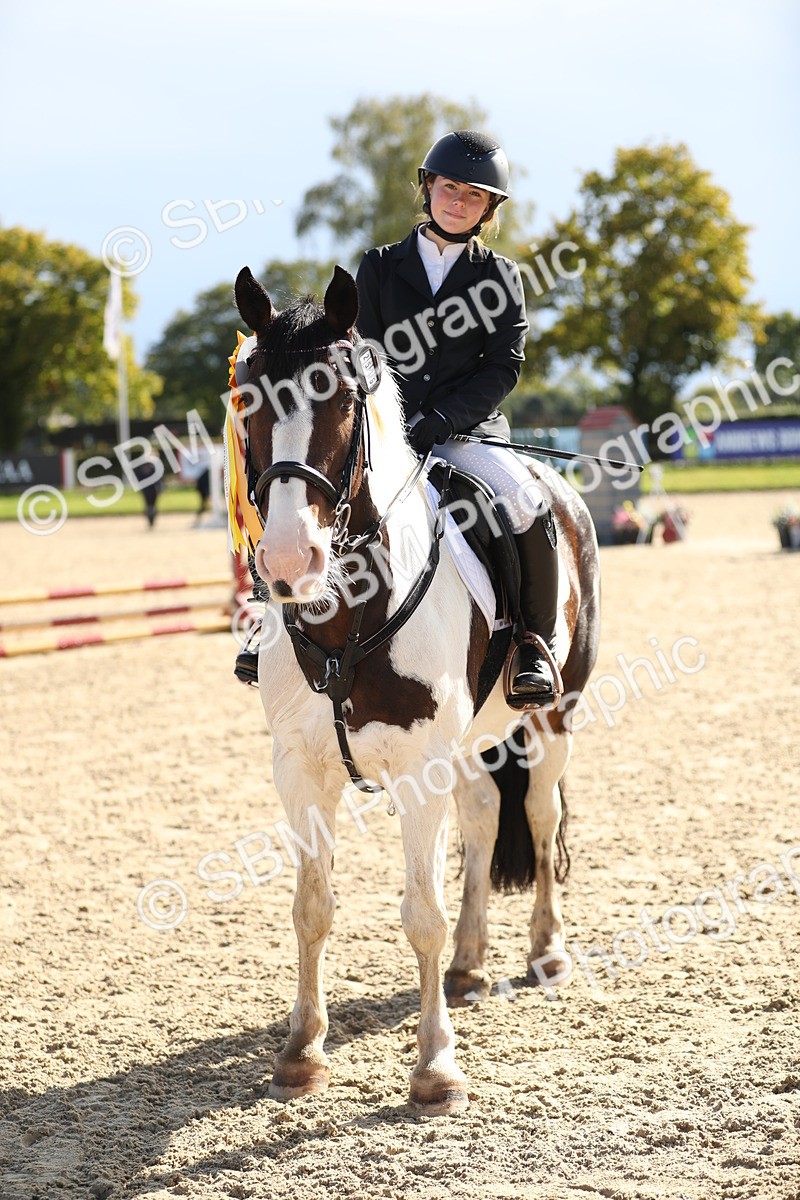 SBM_37370 - J20 - Junior Horse 50cm Championship