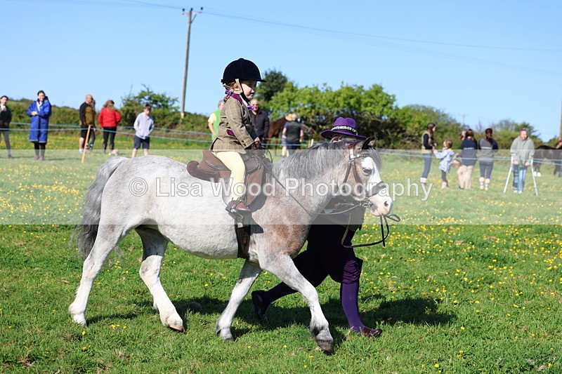 3E7A8881 - Class 2: Lead rein