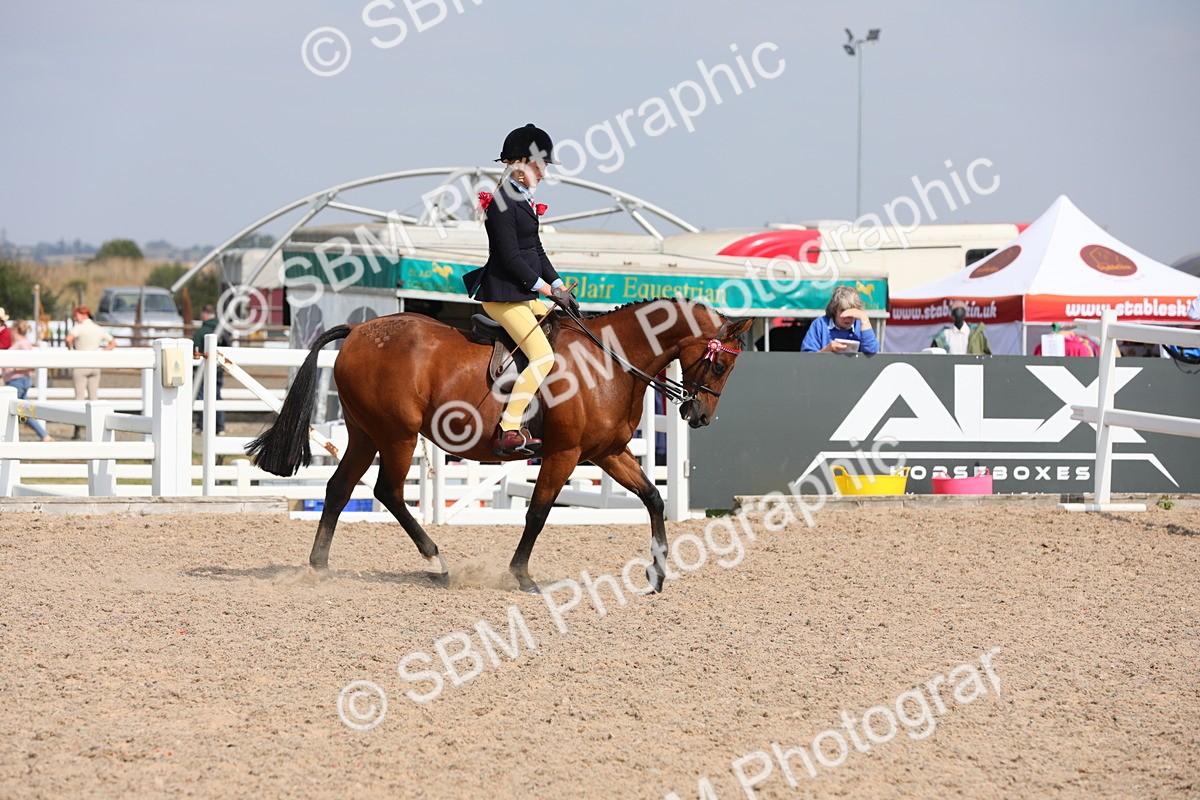 SBM_15566 - Class 311 Ridden Show Pony/ Show Hunter Pony