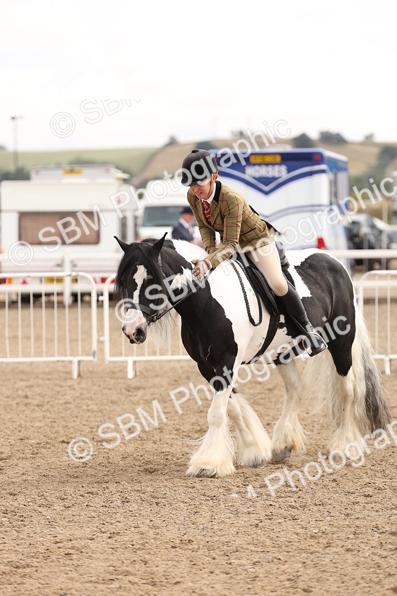 SBM_05131 - Class 56a -  Style & Performance - 50cm (15-19)