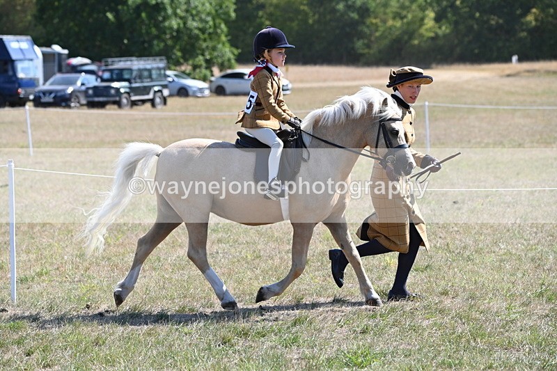 WJ6_7746 - Class 36 Lead Rein
