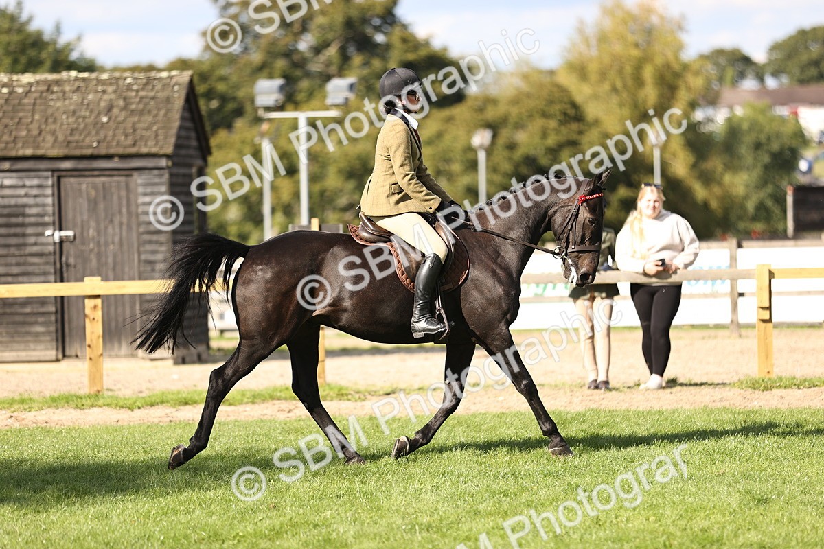 SBM_26384 - S6 - Novice & Newcomers Ridden Horse