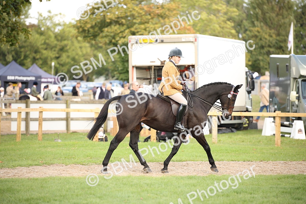 SBM_50225 - S26 - Young Veteran - Ridden