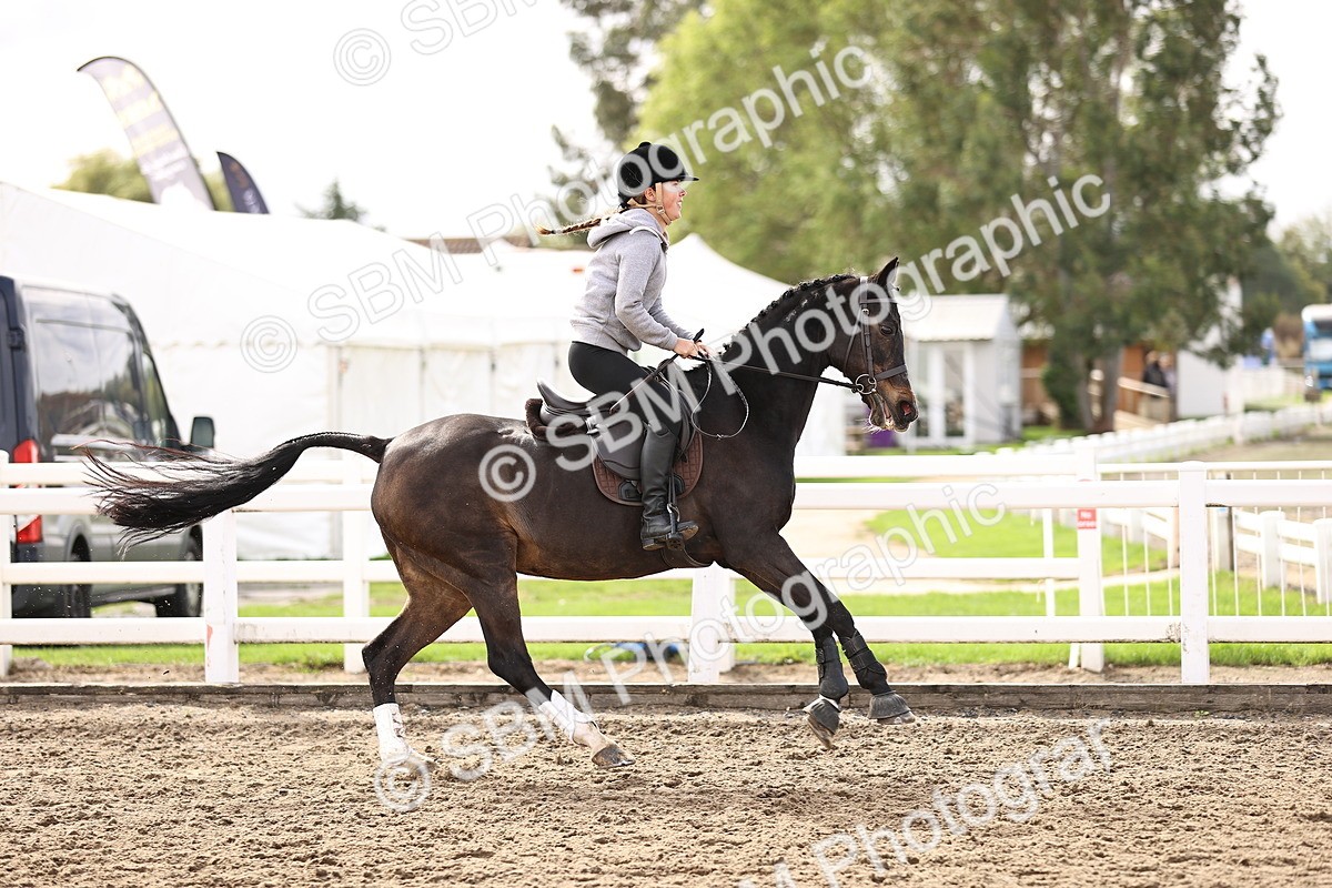 SBM_01720 - Class 55 - Clear Round
