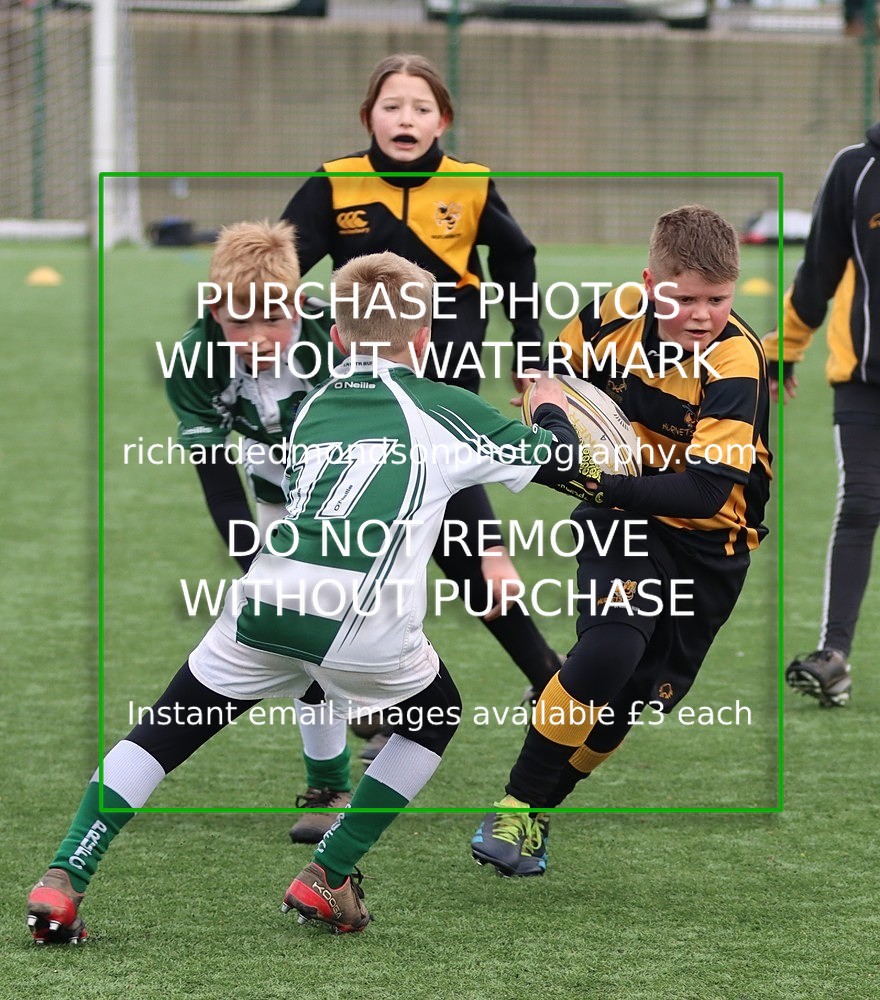 IMG_8667 - Kendal Rugby Under 11 Hornets vs Penrith (22/1/23)