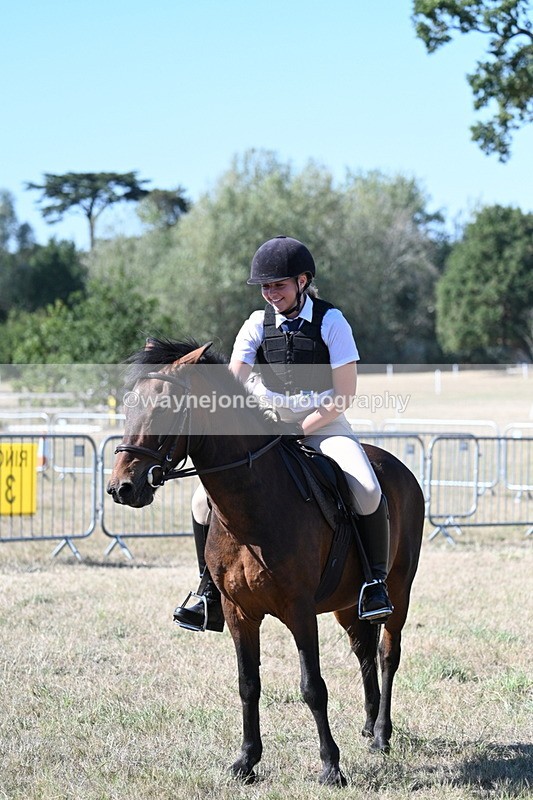 WJ7_1651 - Class 42 Most Handsome Gelding