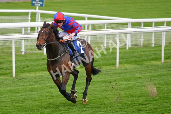 yr14052021r6-12 - Race 6 4.15pm Yorkshire Equine Practice Stakes