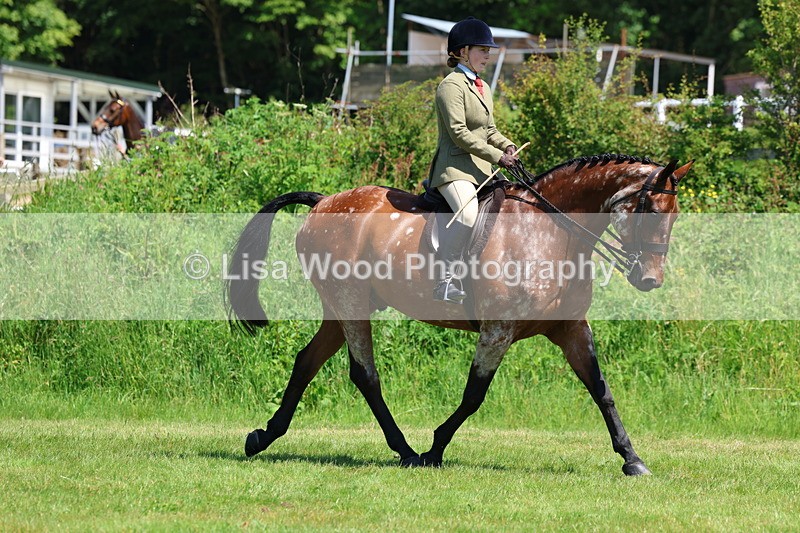 3E7A8217 - Class 13: Ridden Hunter