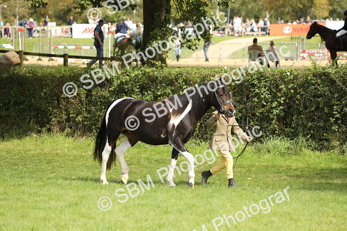 SBM_67721 - S39 - Junior Handler 8  Years & Under