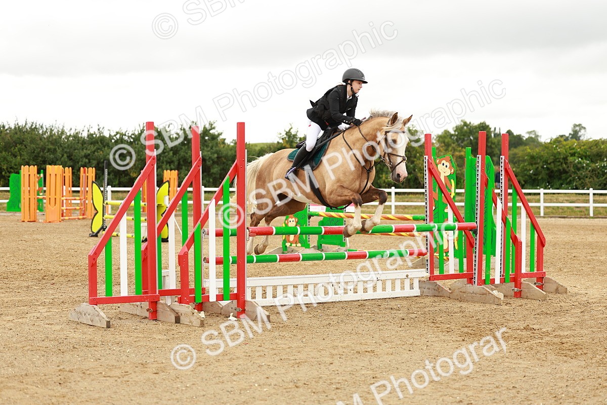 SBM_001601 - Class 9 - Senior British Novice - 90cm