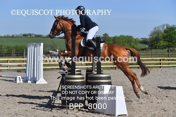 BPP_8000 - CLASS 2 Club/ Unaffiliated 80cms Open