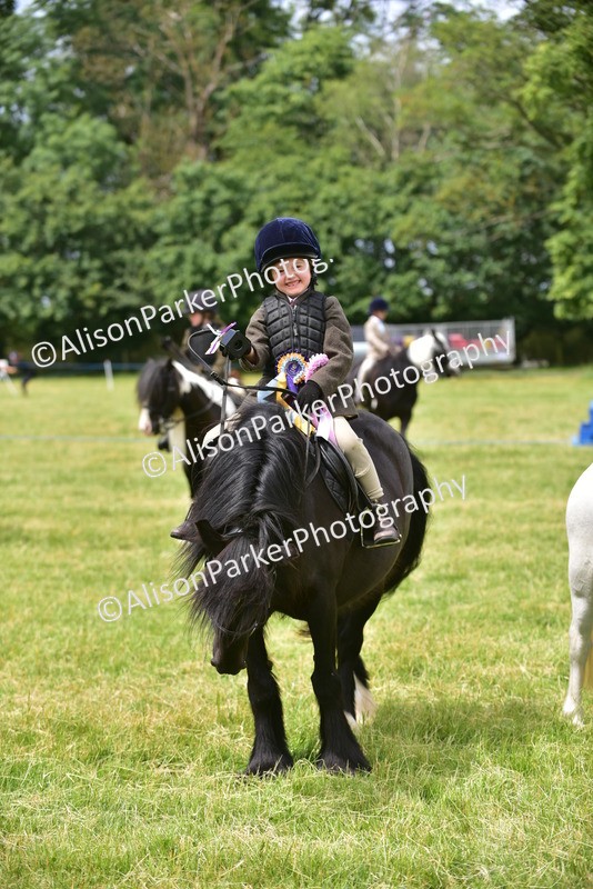 20260614-3733 - Class 15 - Prettiest Mare