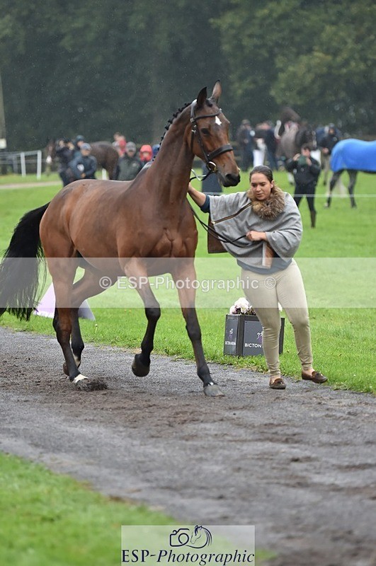 231018-121654-00181 - 025-LYRICAL.II-Harriet.Dickin-TrotUp