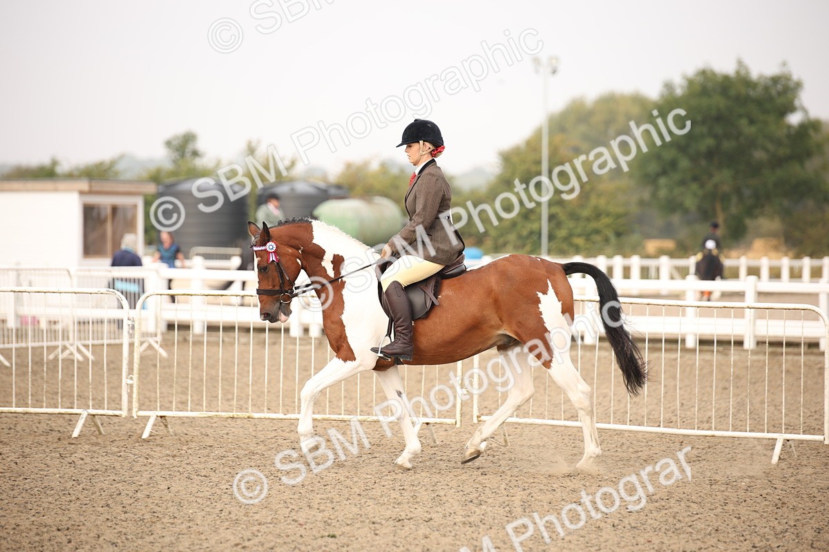 SBM_09738 - Class 401 Riding Club Pony