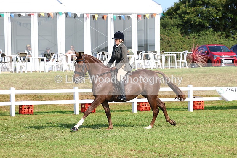 3E7A8592 - Class 3: Rising Star S/L Hunter