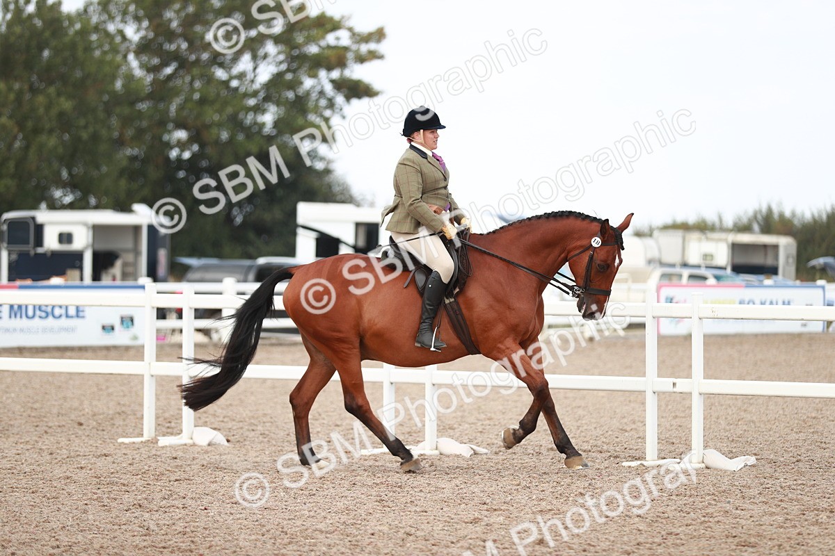 SBM_15492 - Class 213 Ridden Hunter -Large
