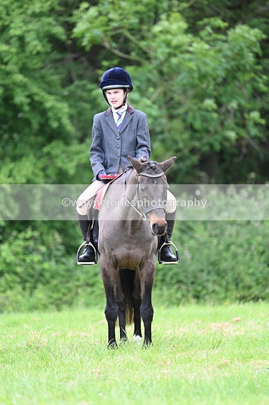 WJ7_4544 - Class 14B Prettiest Mare