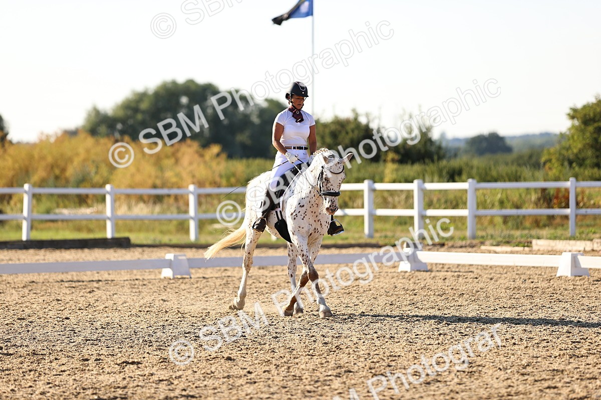 SBM_007821 - Elementary 4 - 17.07-18.22
