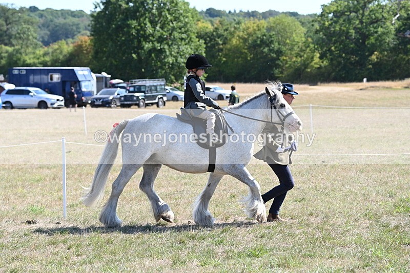 WJ6_7817 - Class 36 Lead Rein