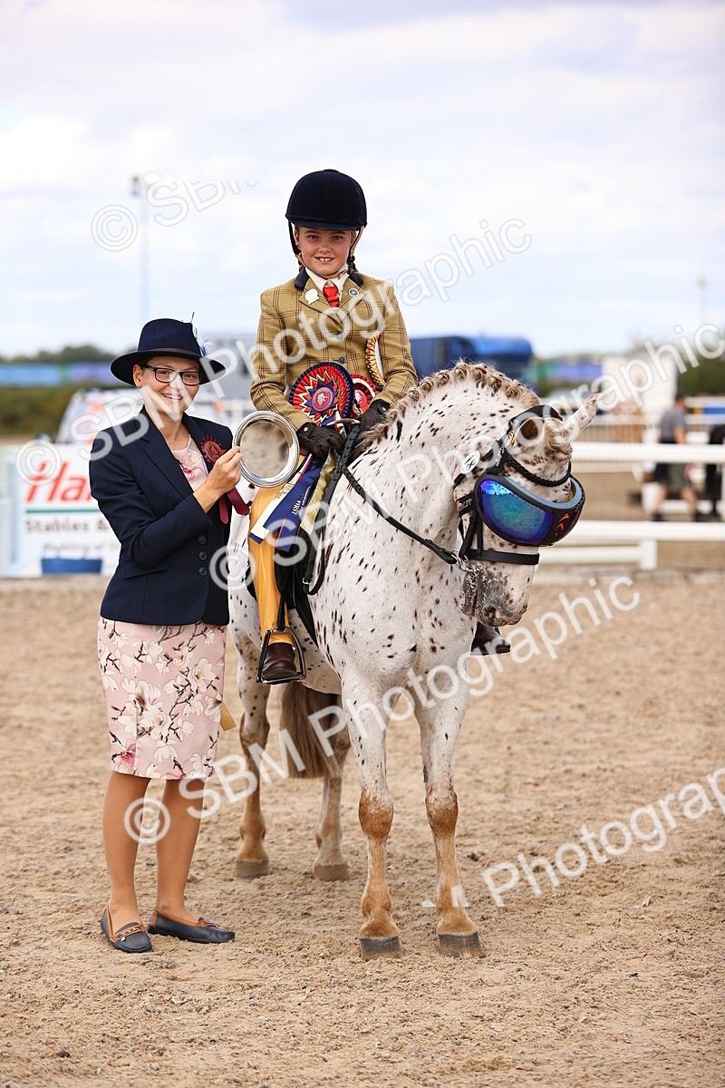 SBM_16174 - Class 420 - Horse-Pony Judge would most like to take home (IH or Ridden) Jnr