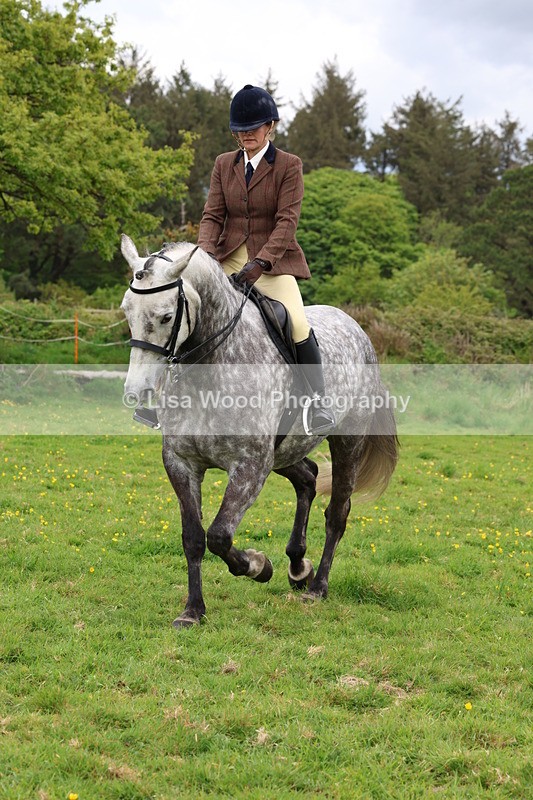 3E7A1791 - Class 9: Riding Club Horse/Pony