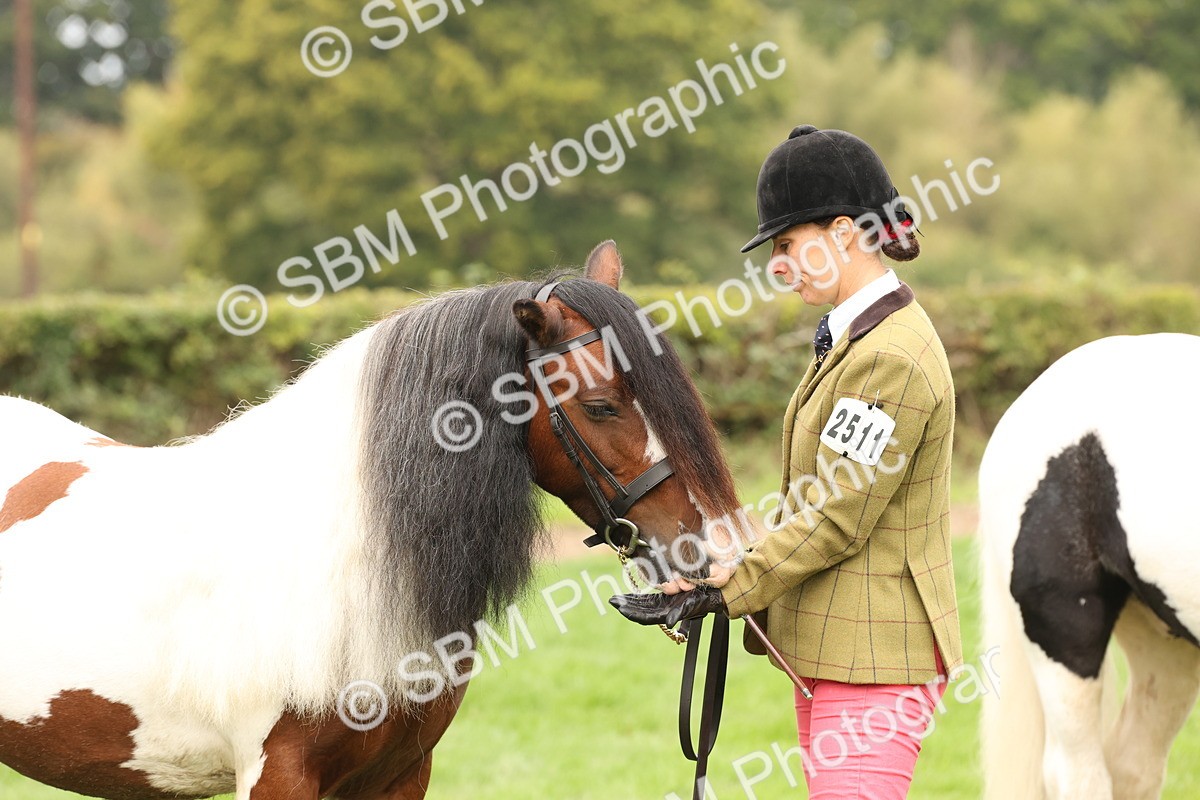 SBM_59333 - S57 - Traditional Cob In Hand
