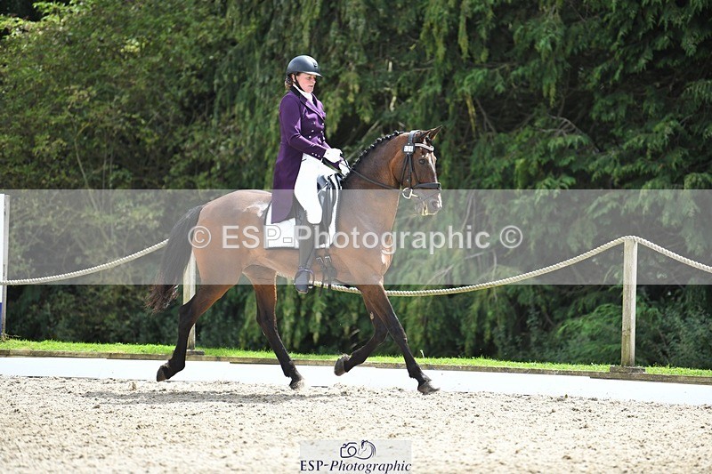 230812-134336-04493 - Cls 7 FEI PSG Bronze