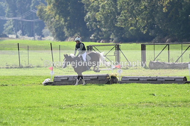 WJ7_4811 - 60cm Time 11:11 to 11:19