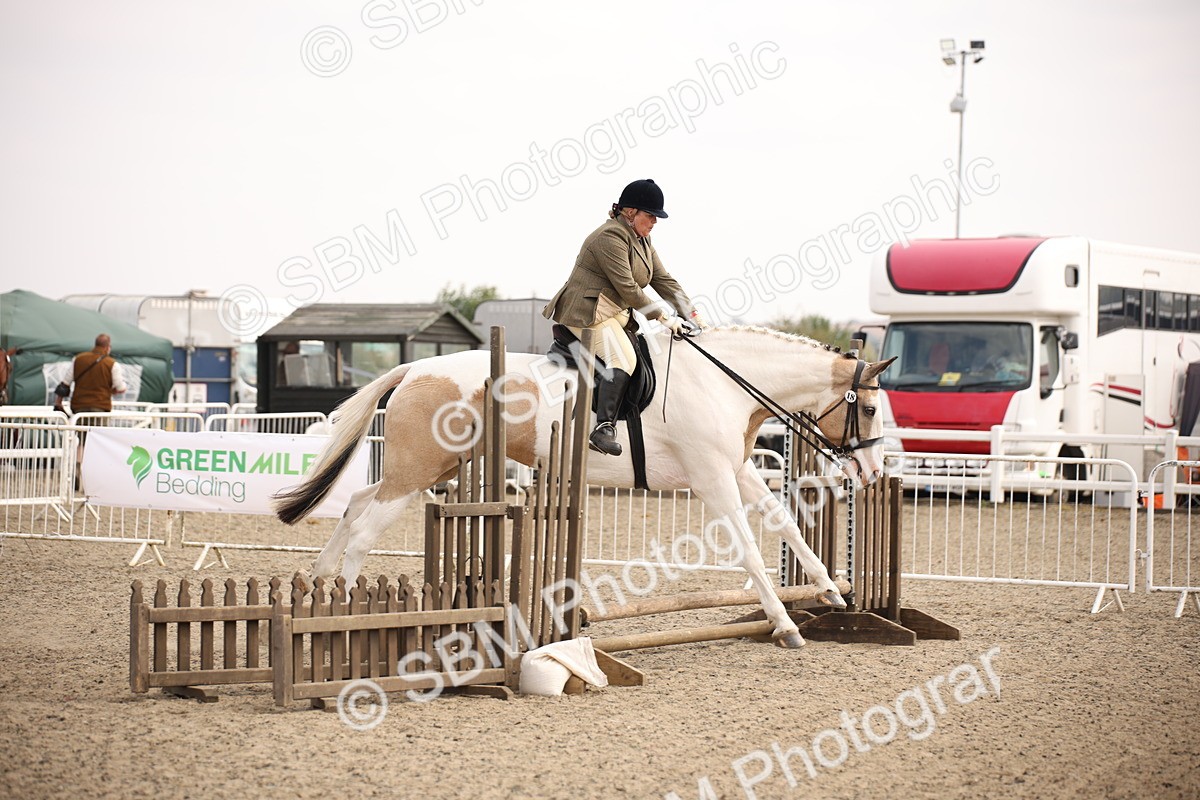 SBM_12915 - Class 406a - Working Veteran 50cm (15-19)