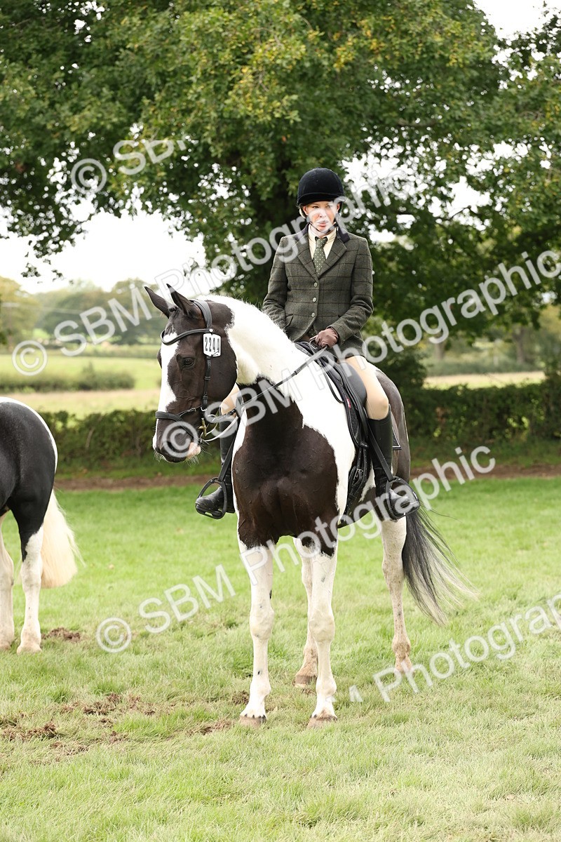 SBM_67277 - S67 - Piebald & Skewbald Horse Ridden