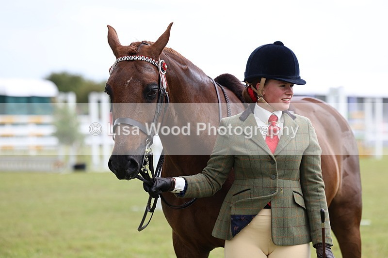 3E7A1053 - Class 8: Open Riding Horse/Hack